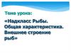 Надкласс Рыбы. Общая характеристика. Внешнее строение рыб