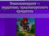 Велосипедист - водитель транспортного средства