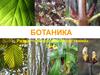 Ботаника. Лист
