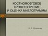 Костномозговое кроветворение и оценка миелограммы