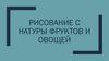 Рисование с натуры фруктов и овощей