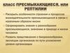 Класс Пресмыкающиеся, или Рептилии
