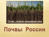 Почва - особое природное тело