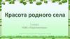 Красота родного села