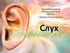 Дистанционный познавательный проект «Тайны Гиппократа». Слух