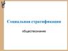 Социальная стратификация