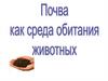 Почва как среда обитания животных