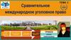 Сравнительное международное уголовное право