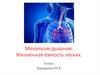Механизм дыхания. Жизненная ёмкость лёгких