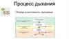 Процесс дыхания. 9 класс