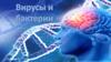 Вирусы и бактерии