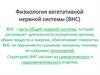 Физиология вегетативной нервной системы (ВНС)