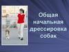 Общая начальная дрессировка собак