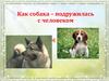 Собака – друг человека
