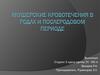 Акушерские кровотечения в родах и послеродовом периоде