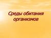 Среды обитания организмов