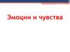 Эмоции и чувства