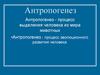 Антропогенез. Стадии антропогенеза