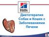 Диетотерапия собак и кошек с заболеваниями печени