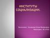 Социальный институт