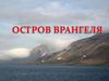 Остров Врангеля