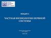 Частная физиология нервной системы