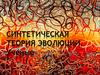 Синтетическая теория эволюции