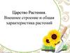 Царство растения. Внешнее строение и общая характеристика растений