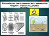 Характеристика химических элементов IVгруппы, главной подгруппы. Углерод