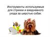 Инструменты используемые для стрижки и ежедневного ухода за шерстью собак