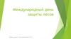 Международный день защиты лесов. Лес – целый микромир