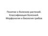 Понятие о болезнях растений. Классификация болезней. Морфология и биология грибов