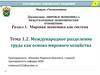 Международное разделение труда как основа мирового хозяйства