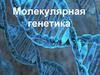 Молекулярная генетика. Нуклеиновые кислоты