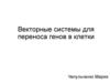 Векторные системы для переноса генов в клетки