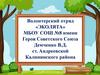 Волонтерский отряд «Эколята»