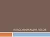 Классификация лесов