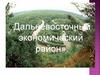 Дальневосточный экономический район