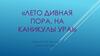 «Лето дивная пора, на каникулы ура!». Кроссворд