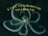 Головоногие моллюски
