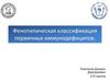Фенотипическая классификация первичных иммунодефицитов