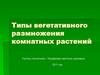 Типы вегетативного размножения комнатных растений