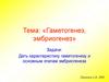 Гаметогенез, эмбриогенез