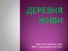 Деревня живи