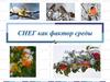 Снег как фактор среды обитания животных