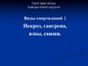 Некроз, гангрена, язвы, свищи