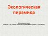 Экологическая пирамида