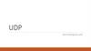 UDP
