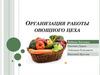 Организация работы овощного цеха