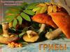 Грибы съедобные  и несъедобные